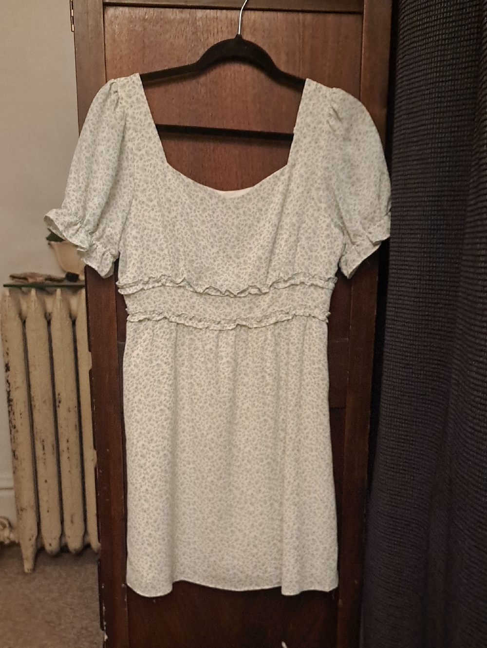 Paper Crane Size Small Light Blue Ditzy Floral Ruffle Empire Waist Dress Cottage